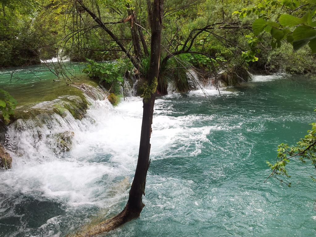 Guest House Family Varda Plitvice Lakes Plitvička Jezera Dış mekan fotoğraf